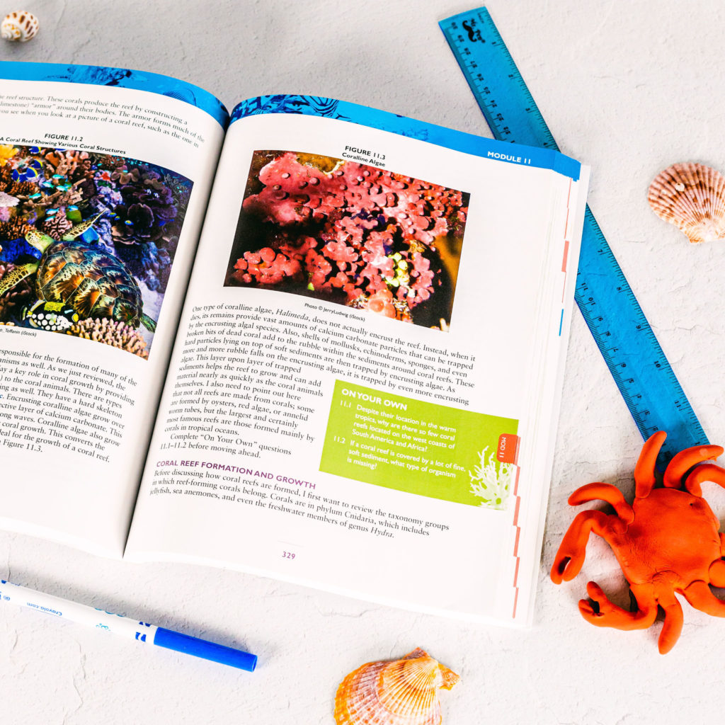 Styled product photography book flat lay homeschool curriculum brand product photographer Chelsea Loren