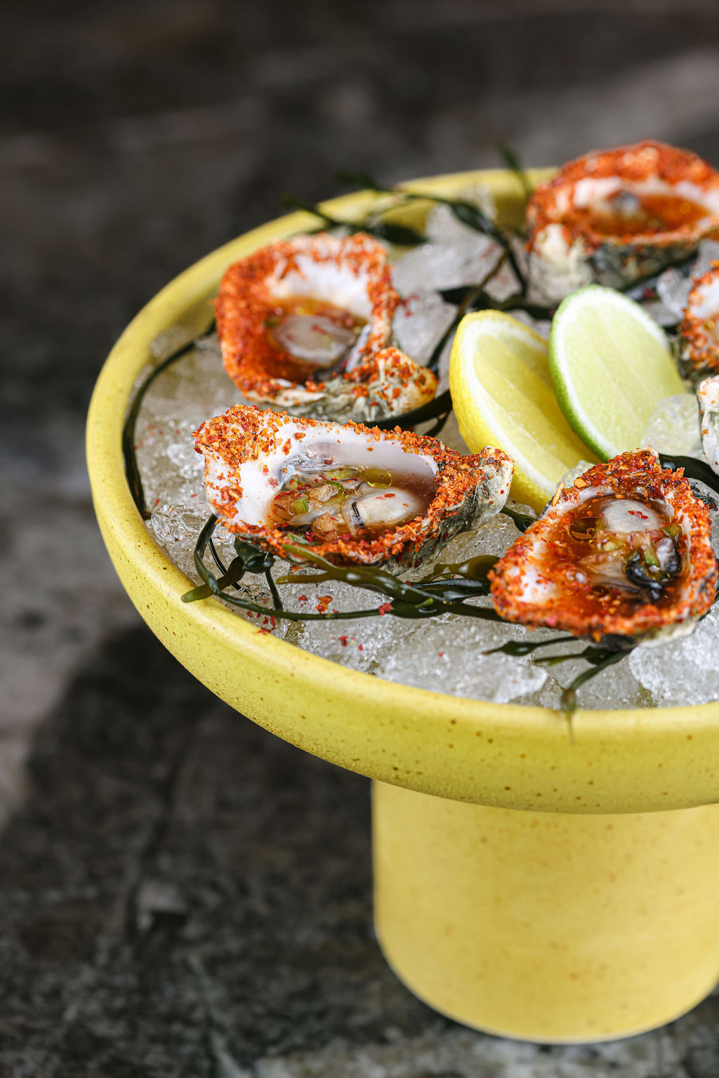 Overhead styled scallop crudo with fennel and citrus on textured green plate for hotel restaurant food photography