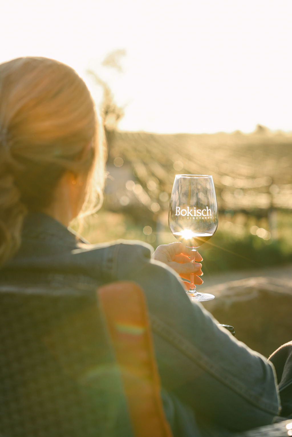 Silhouette of woman with wine glass catching golden sunset light with Lodi vineyard stretching into the distance
